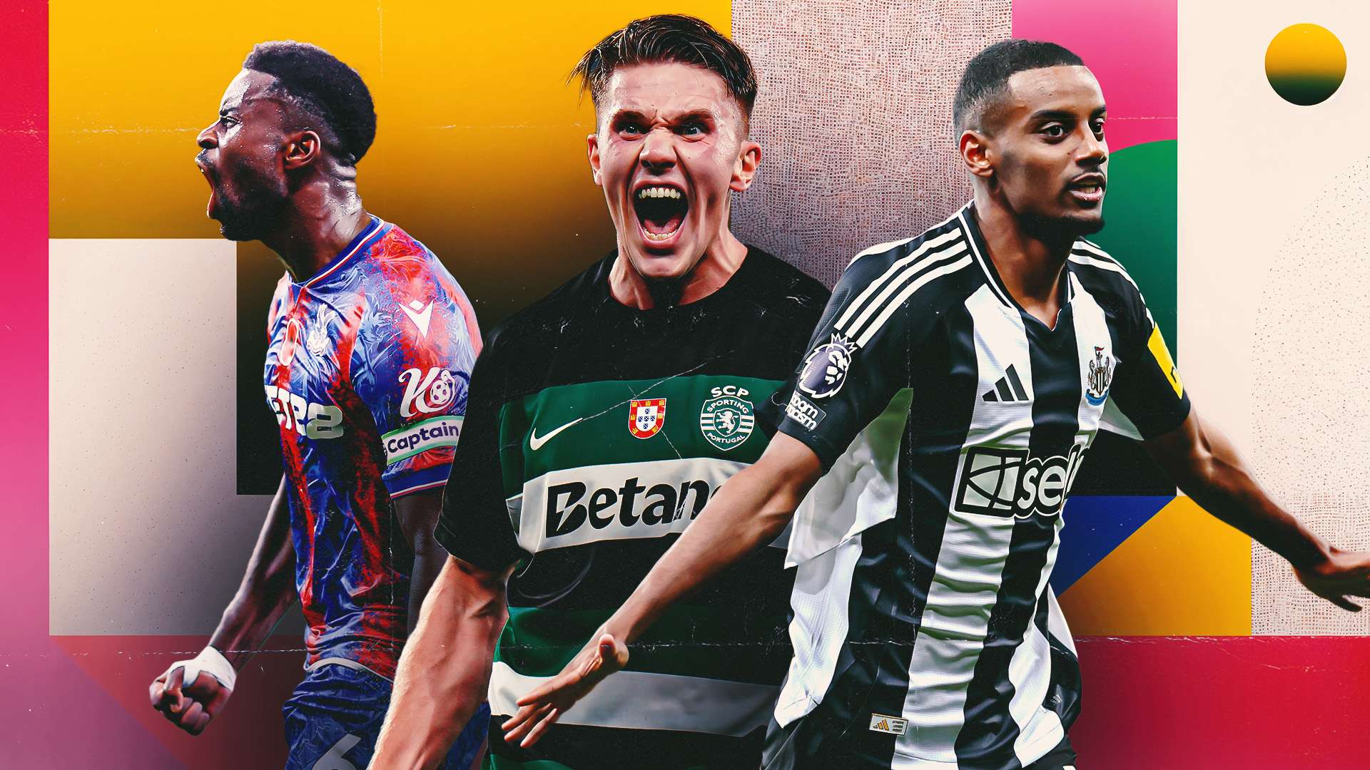 她不仅在赛 她不仅在赛